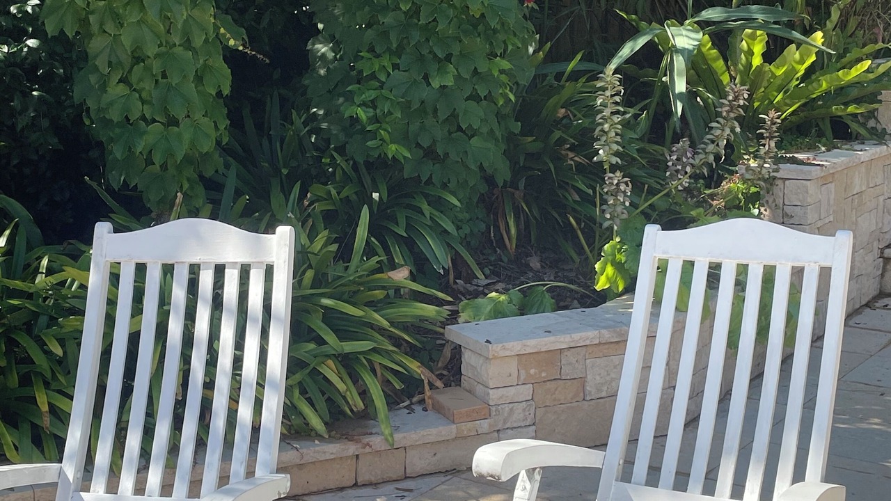Photo of Others in Avalon Beach