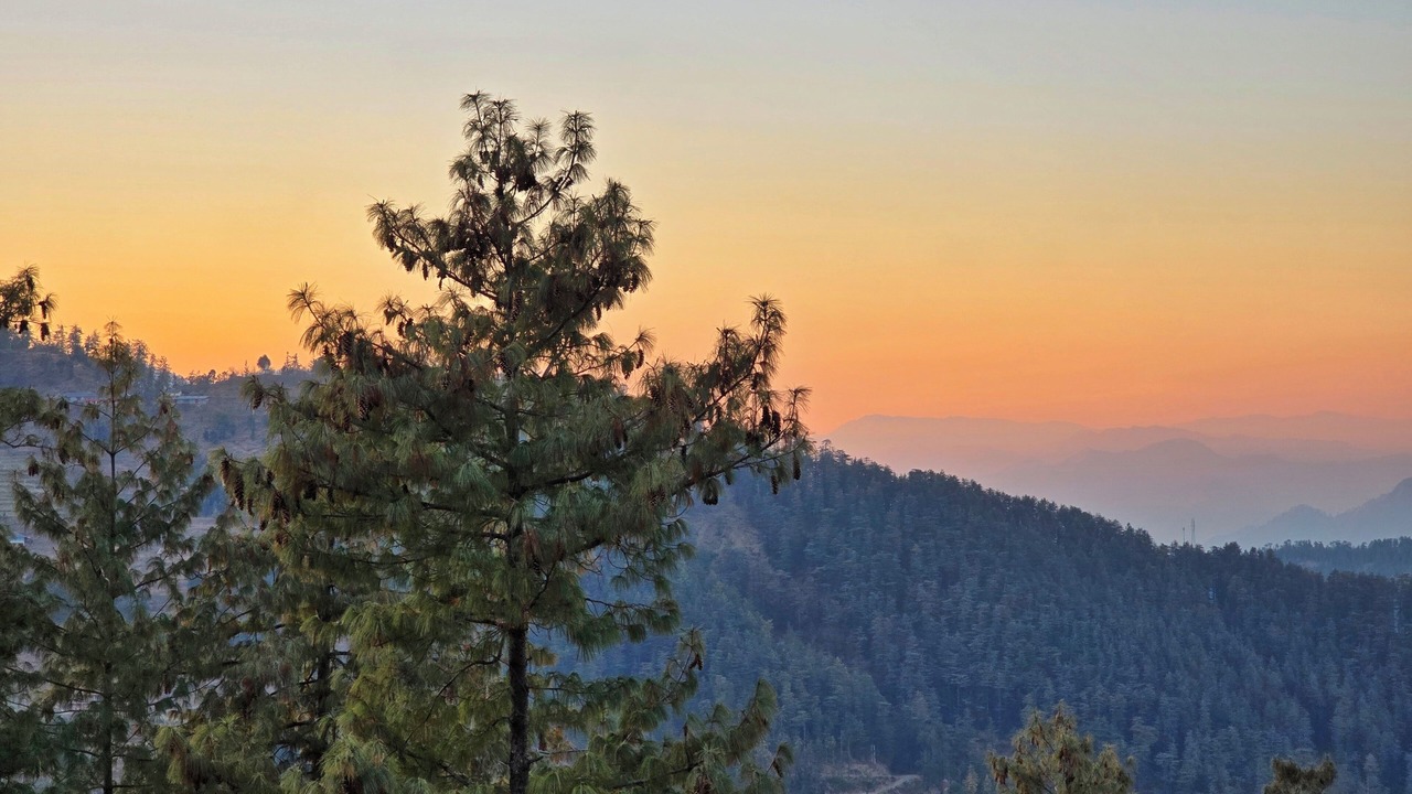 Photo of Outdoor in Kufri