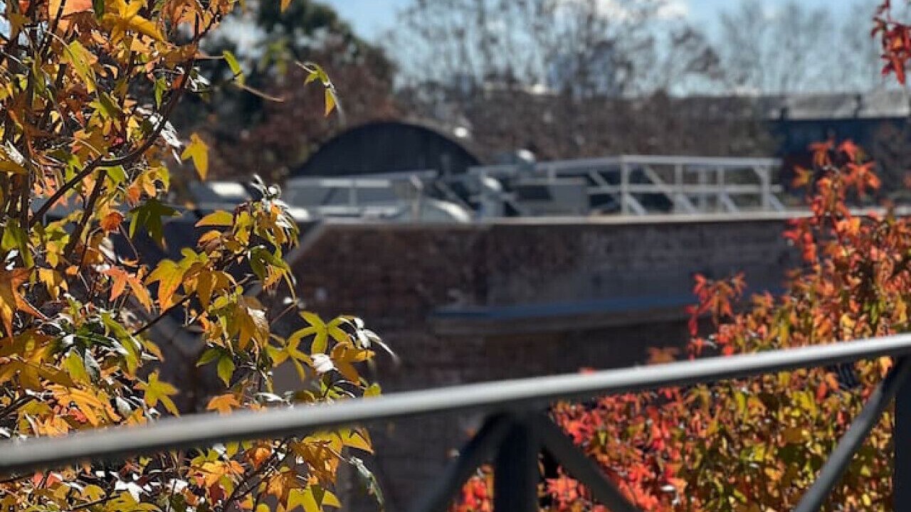 Photo of Outdoor in Woolloomooloo