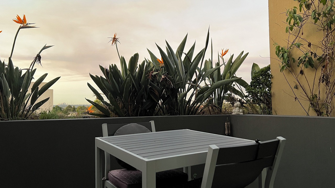 Photo of Outdoor in Hurlstone Park