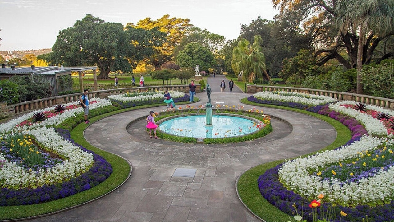 Photo of Outdoor in Potts Point