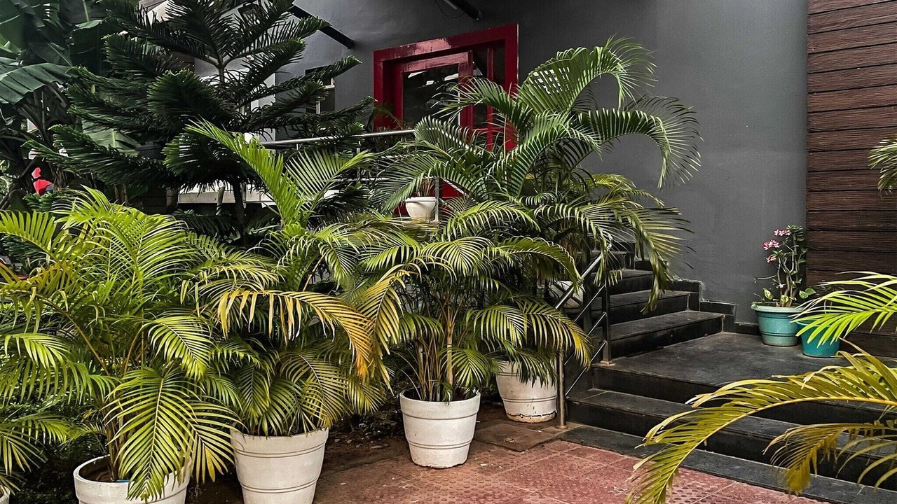 Photo of Outdoor in Jayadev Vihar