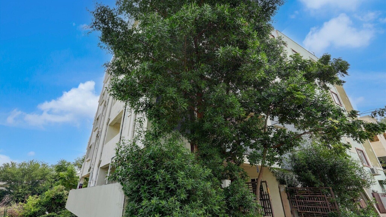 Photo of Outdoor in Vijayawada