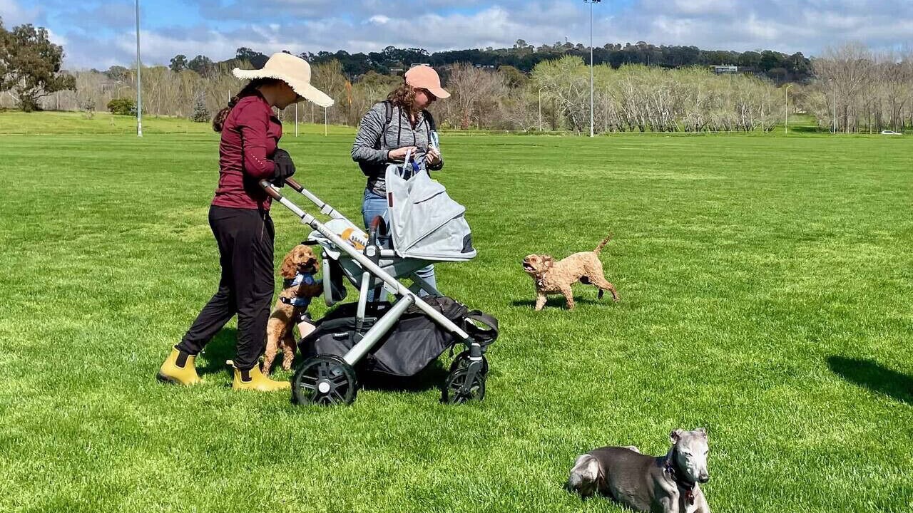 Photo of Others in Hillsdale