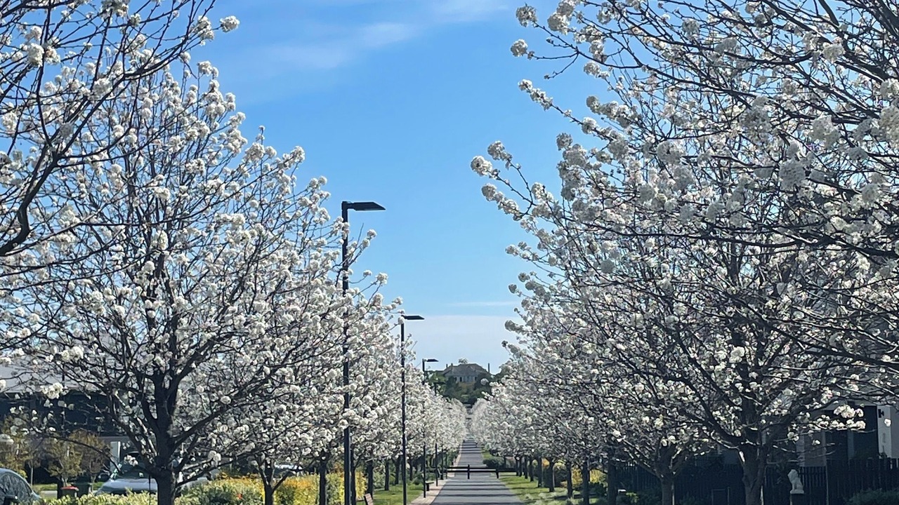 Photo of Others in Oran Park