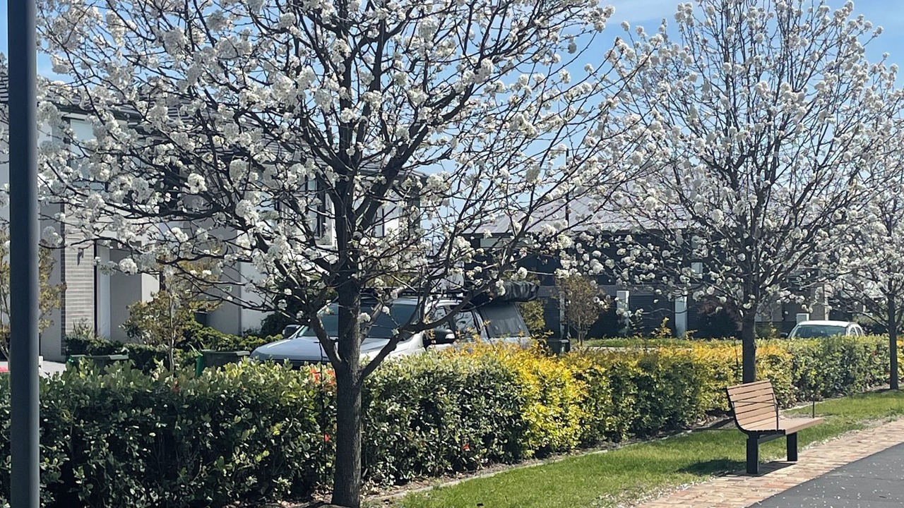 Photo of Outdoor in Oran Park