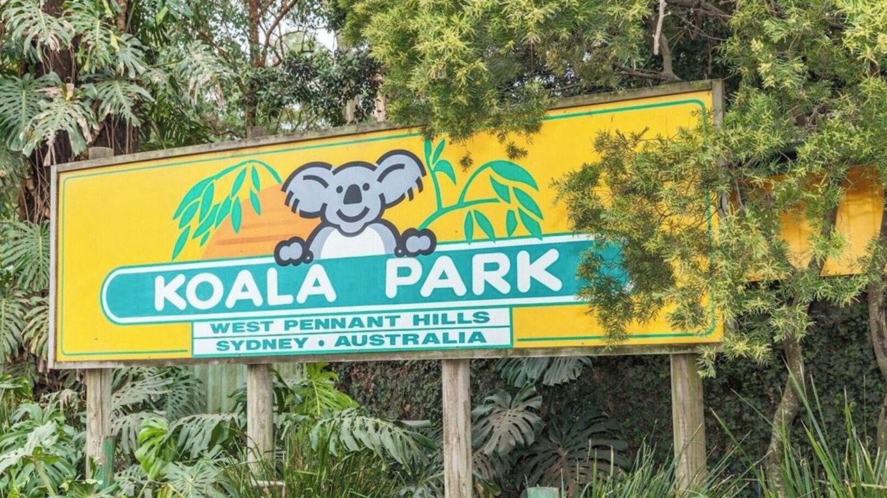 Photo of Others in Thornleigh