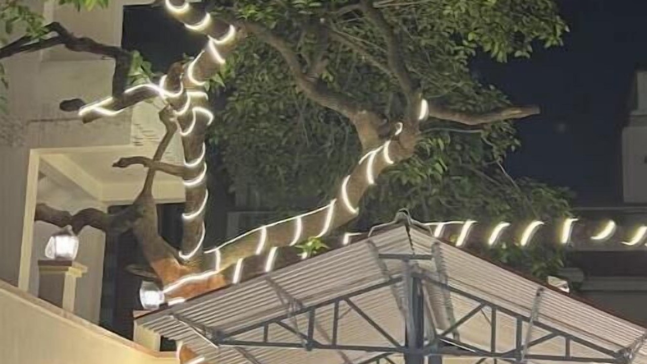 Photo of Outdoor in Varanasi