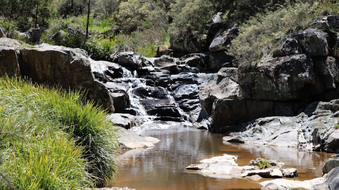 Photo of Others in Gundaroo