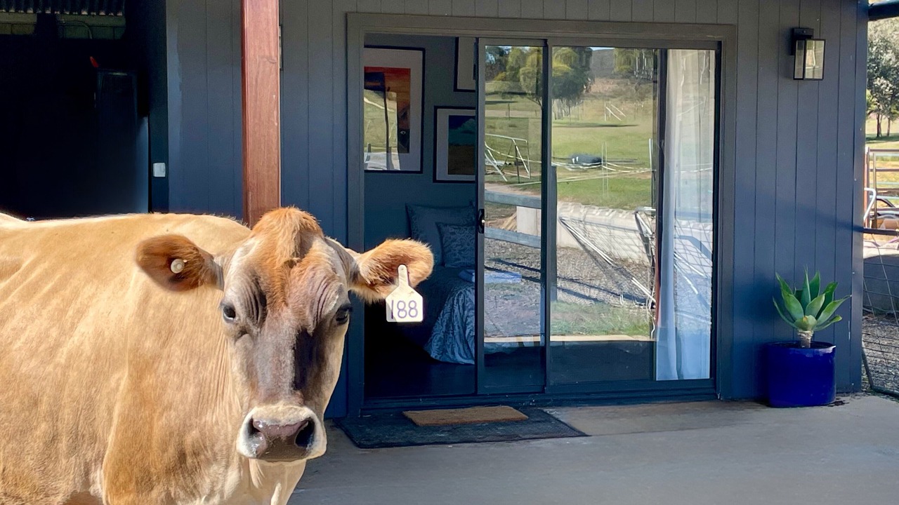 Photo of Others in Gundaroo