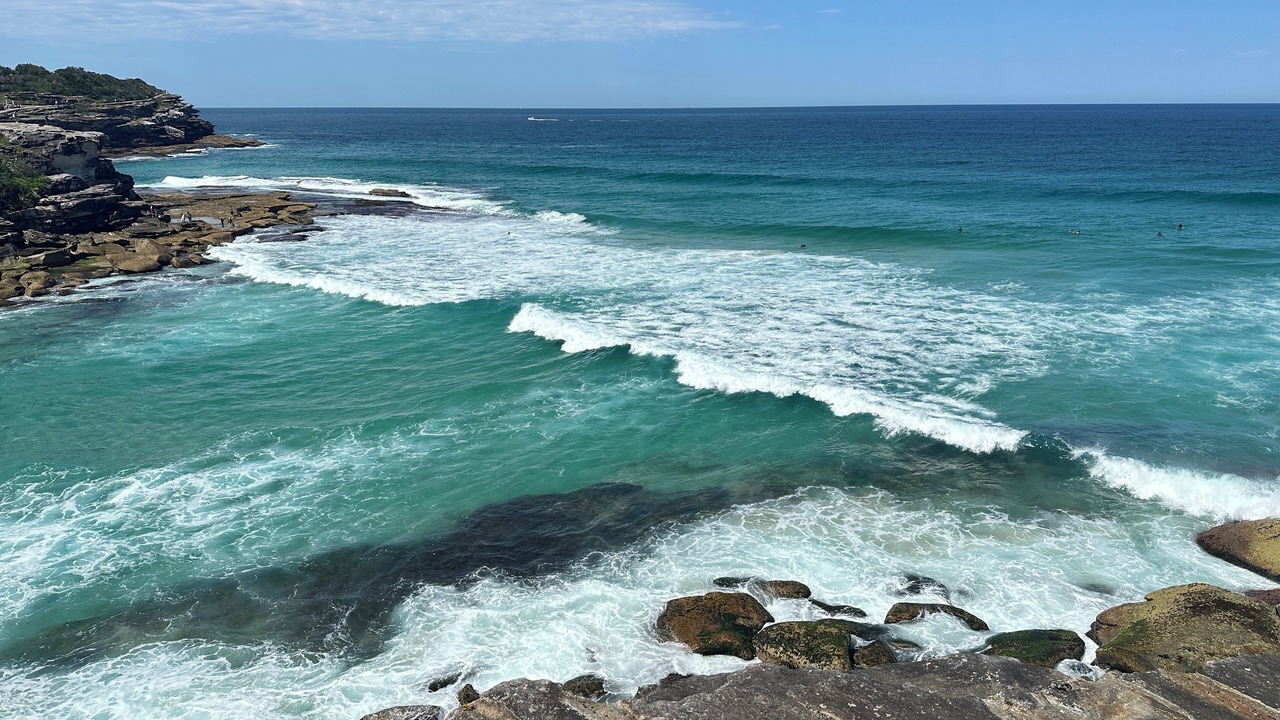 Photo of Others in Bronte