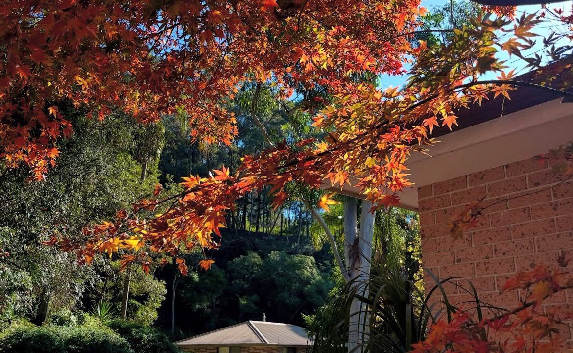 Photo of Outdoor in Grose Vale