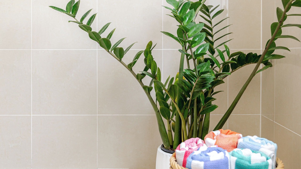 Photo of Bathroom in Bondi