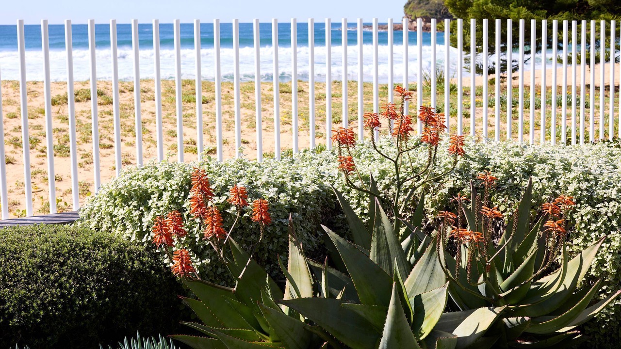 Photo of Outdoor in Avoca Beach