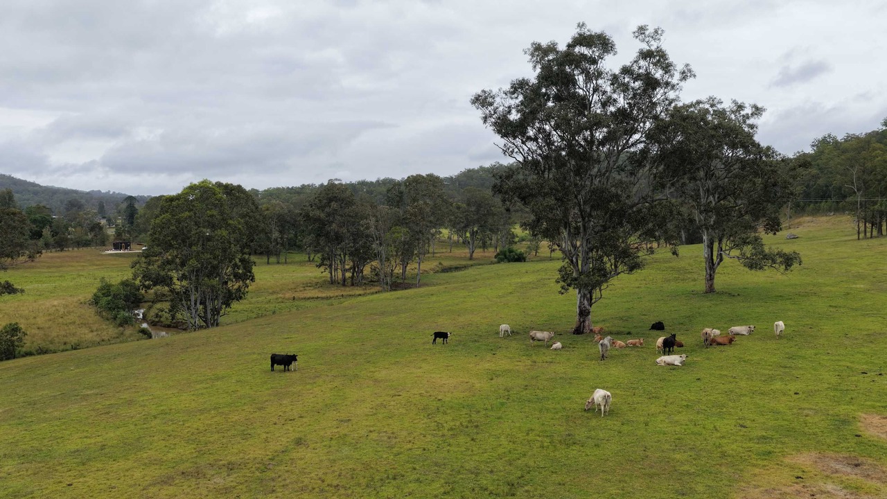 Photo of Others in Wollombi
