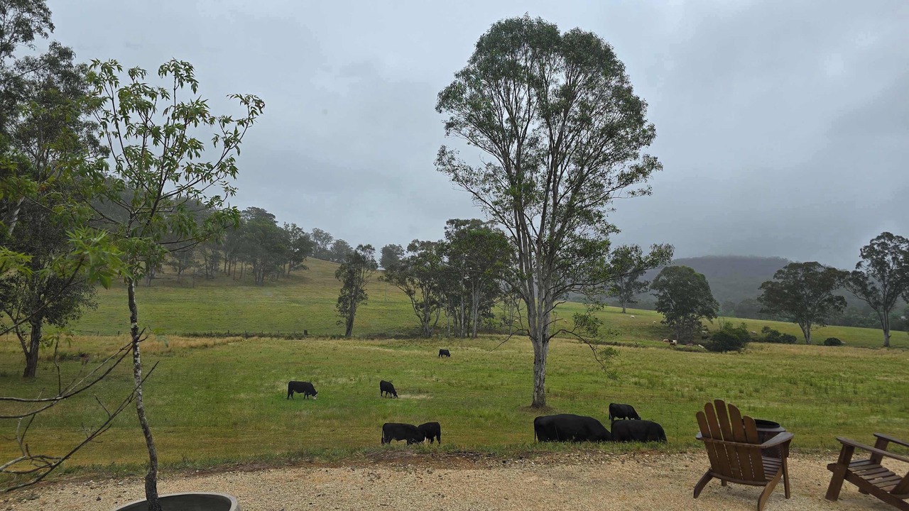 Photo of Outdoor in Wollombi