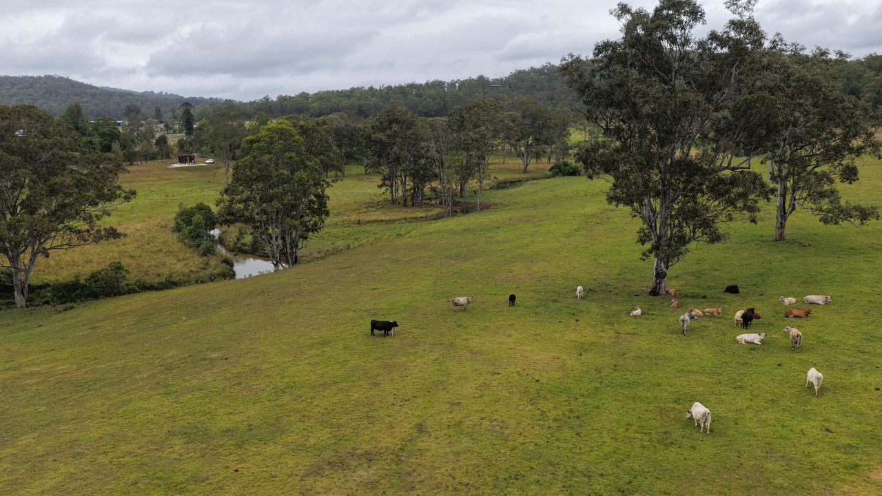 Photo of Others in Wollombi