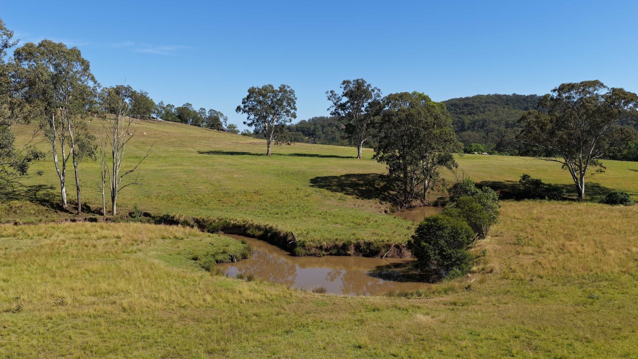 Photo of Others in Wollombi