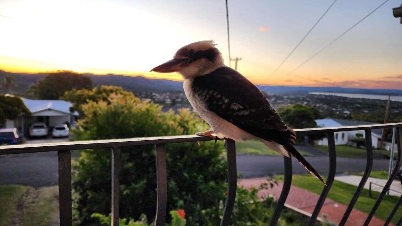 Photo of Patio Balcony in Bateau Bay