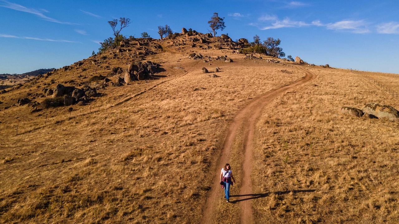 Photo of Others in Wyangala