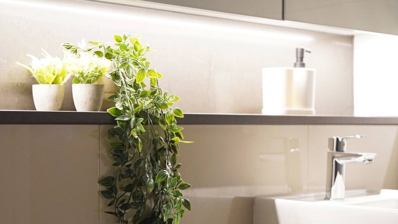 Photo of Bathroom in Mascot