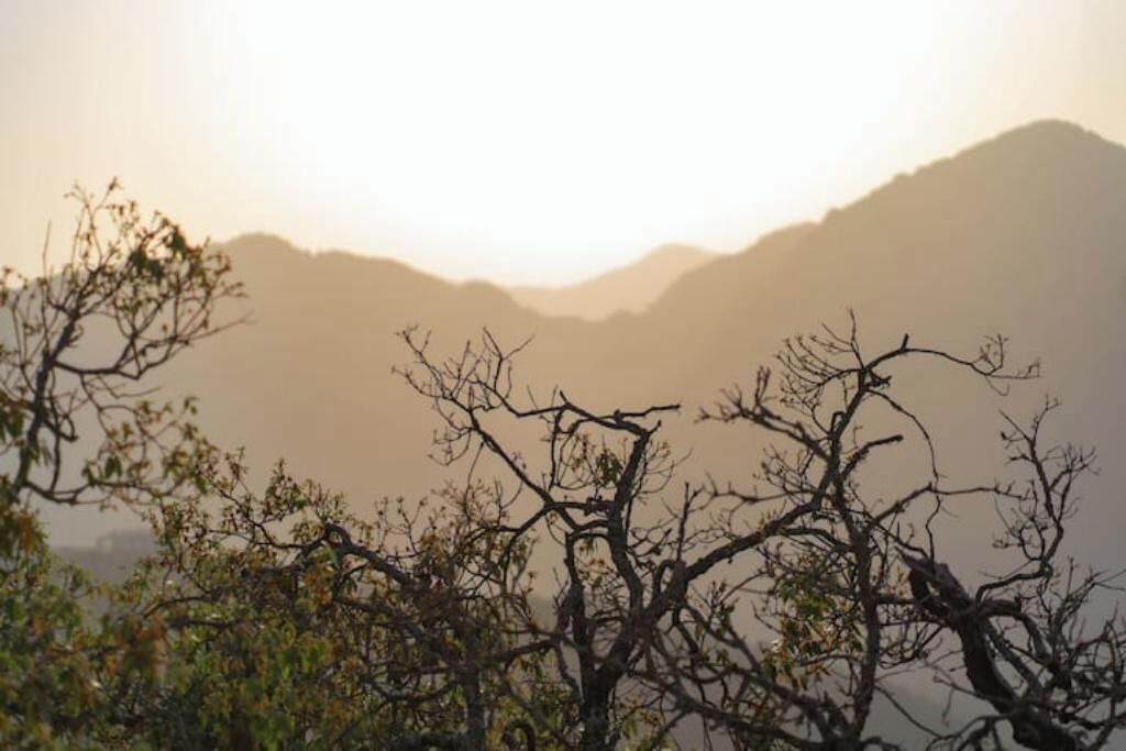 Photo of Others in Mussoorie