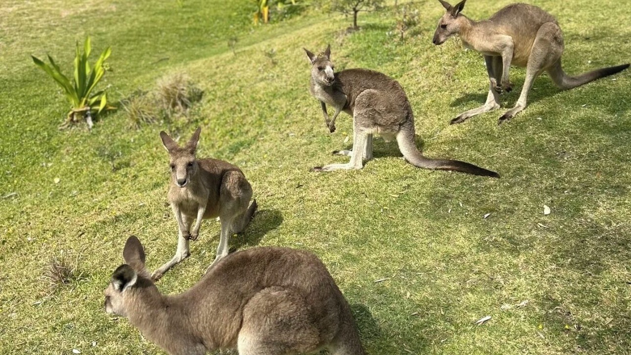 Photo of Others in Putty