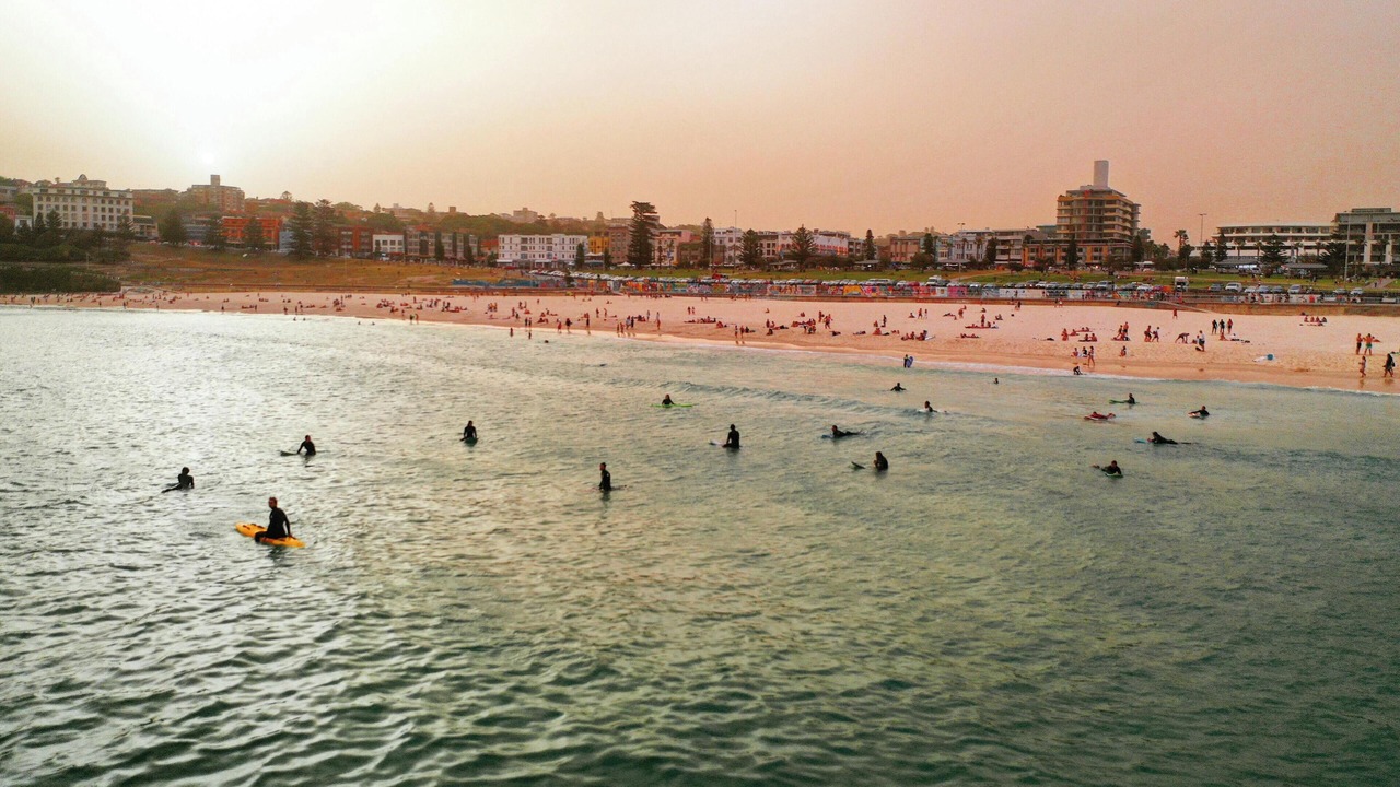 Photo of Others in Elizabeth Bay