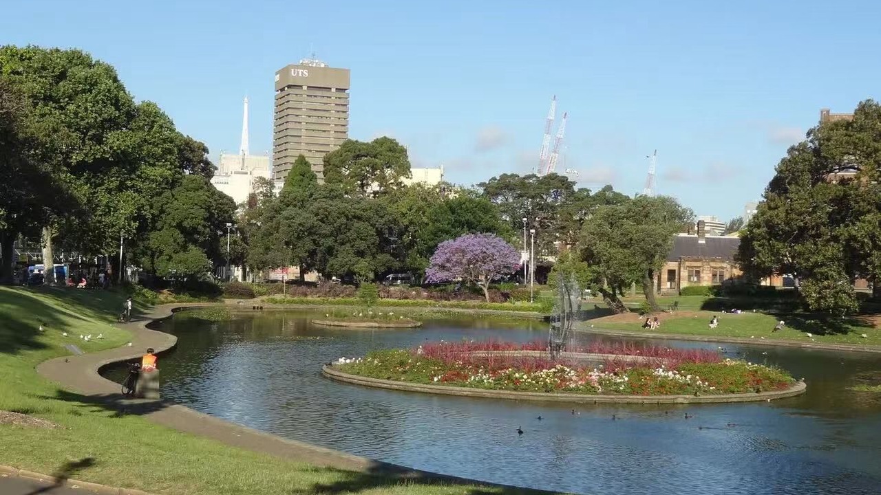 Photo of Others in Glebe