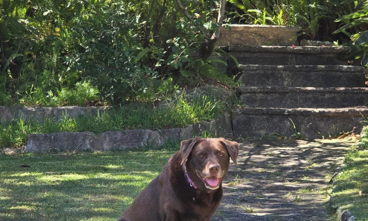 Photo of Outdoor in Freshwater