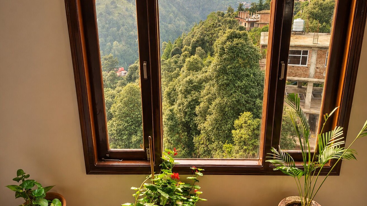 Photo of Others in Shimla