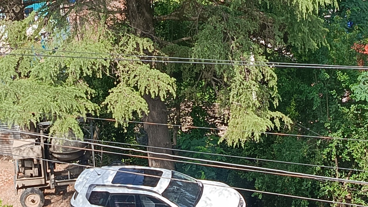 Photo of Outdoor in Pithoragarh