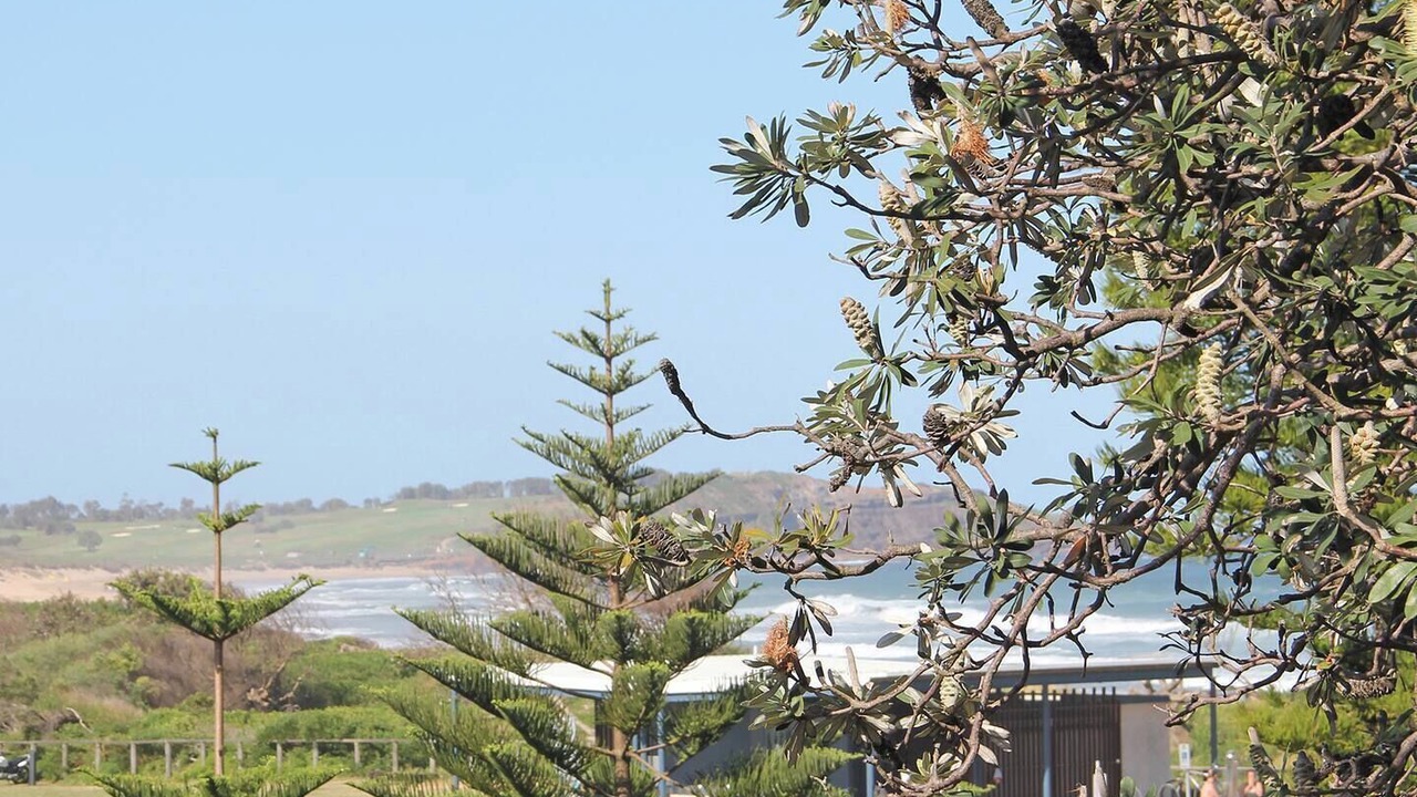 Photo of Others in Dee Why