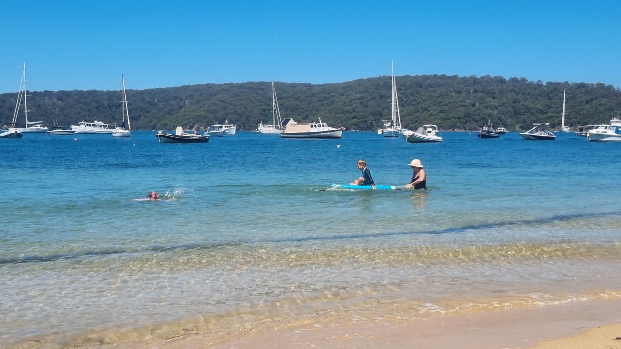Photo of Others in Avalon Beach