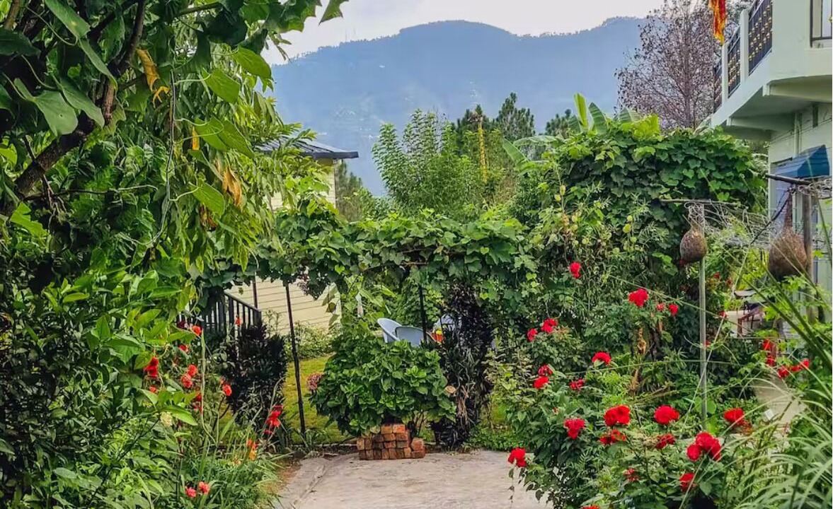 Photo of Outdoor in Tehri