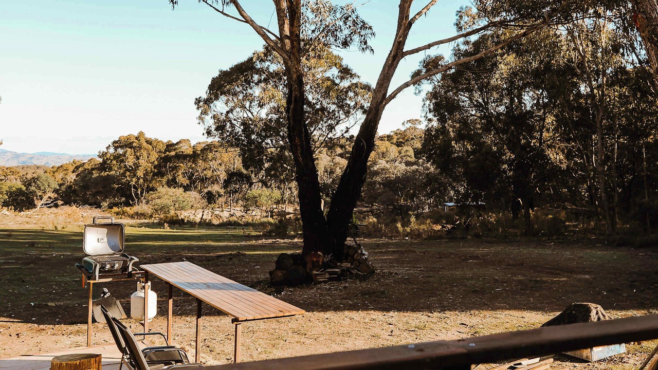 Photo of Outdoor in Roseberg