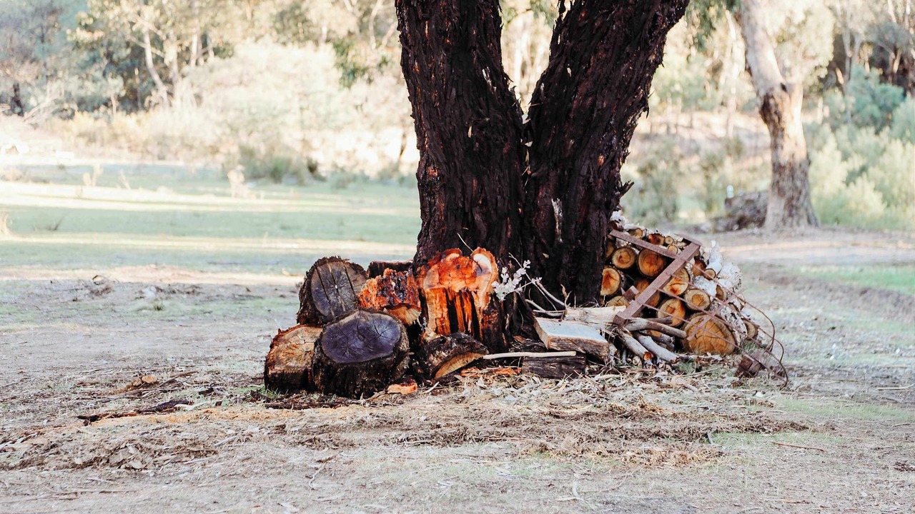 Photo of Others in Roseberg