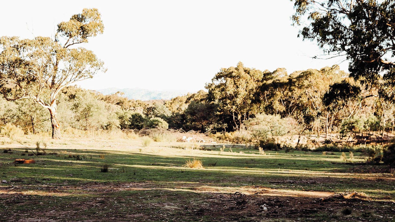 Photo of Others in Roseberg