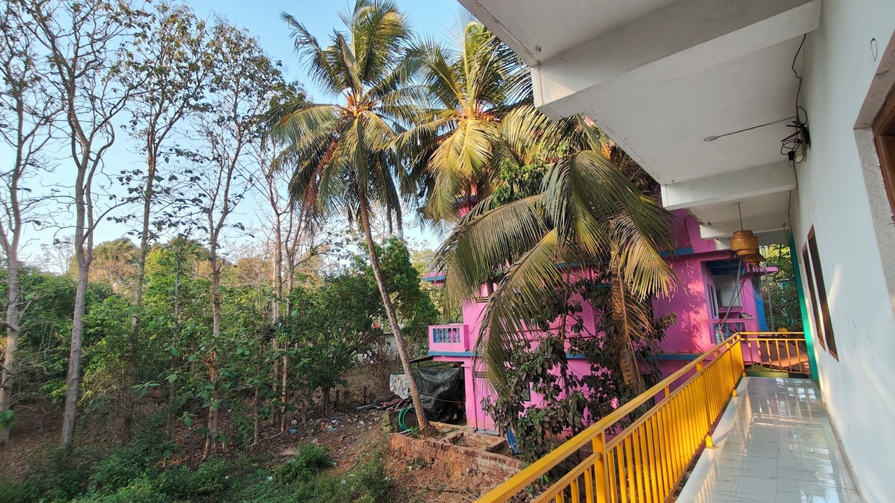 Photo of Outdoor in Arambol