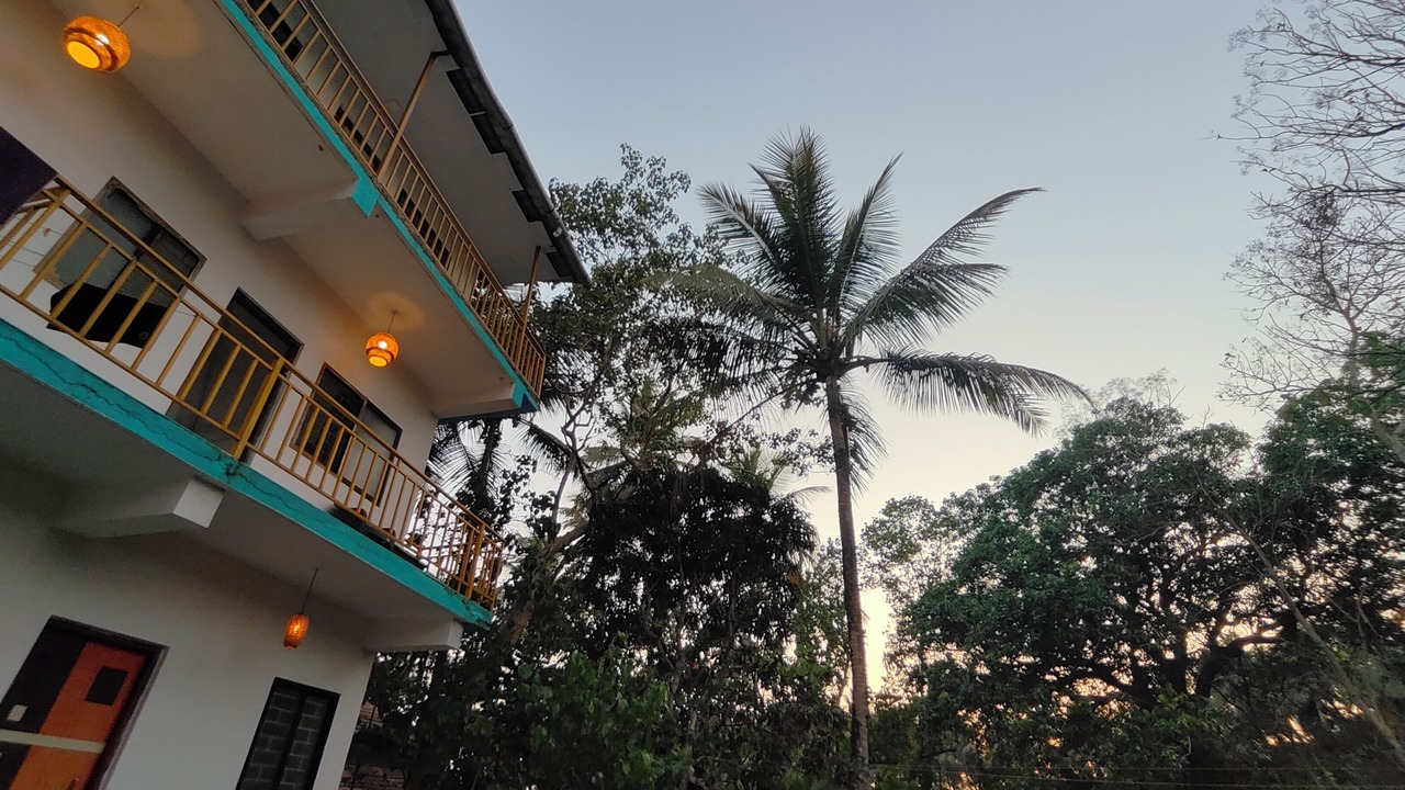 Photo of Outdoor in Arambol