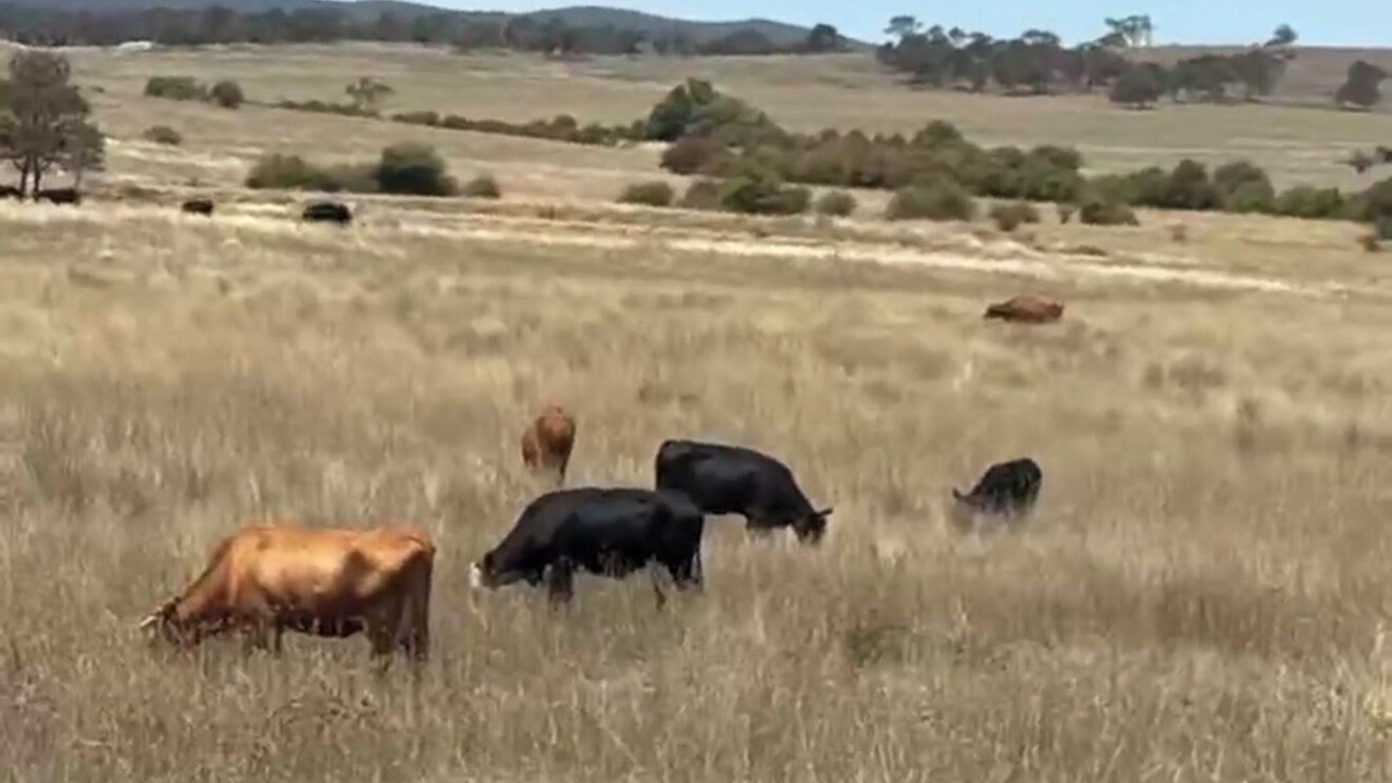Photo of Others in Kingsdale