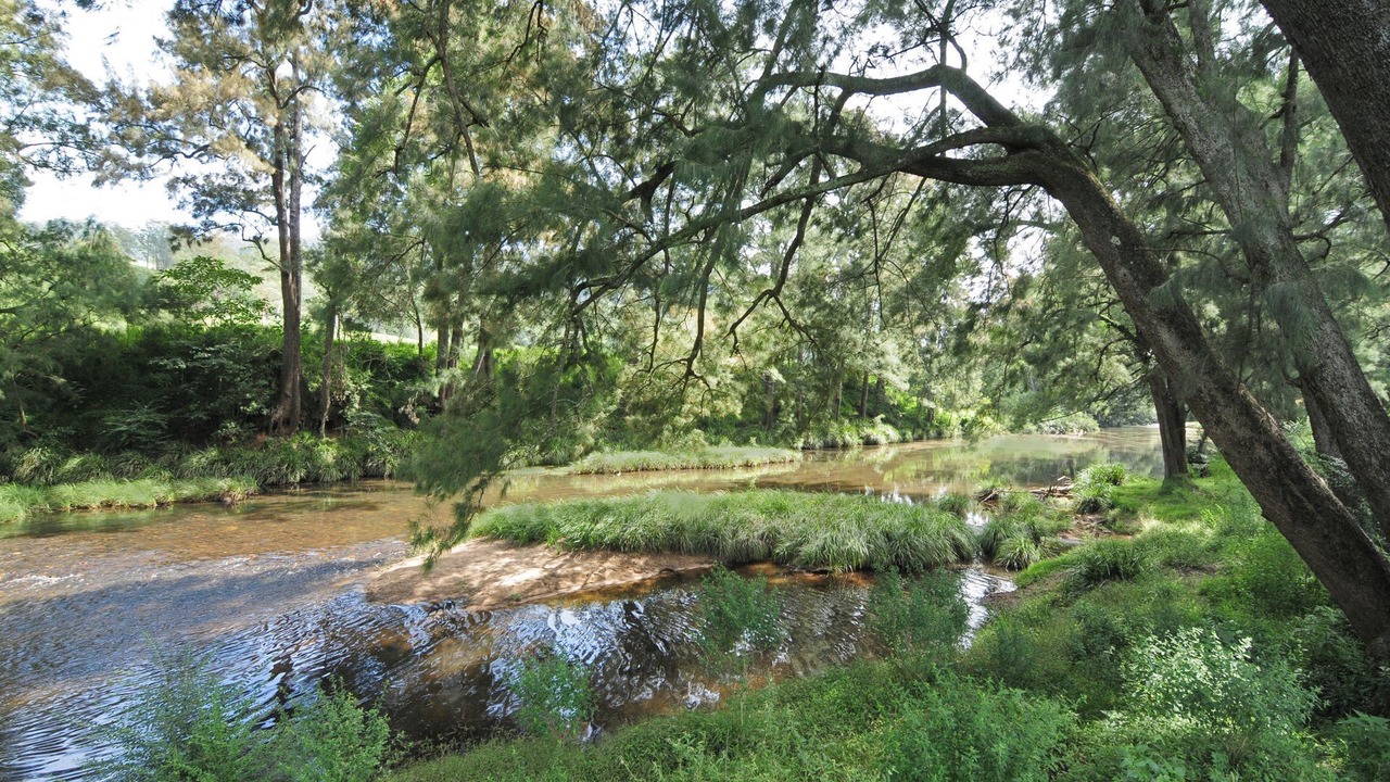Photo of Others in Upper Kangaroo River