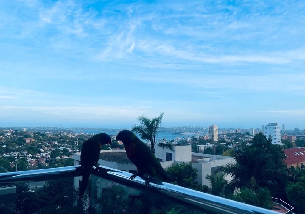 Photo of Outdoor in North Sydney