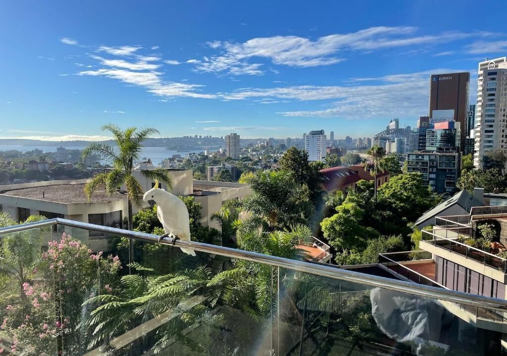 Photo of Outdoor in North Sydney