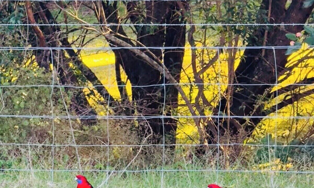 Photo of Outdoor in Mount Hunter