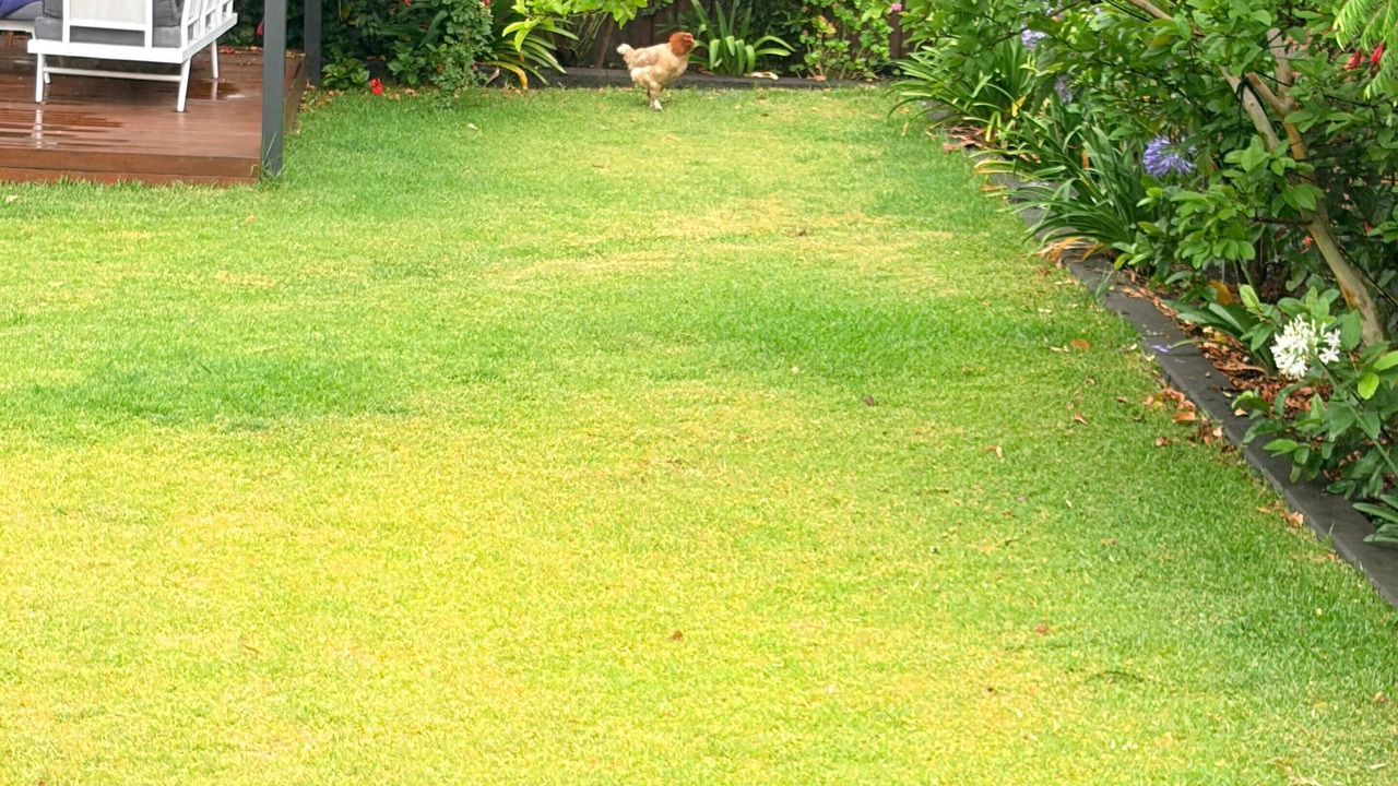 Photo of Outdoor in Wentworthville