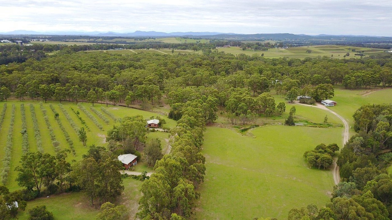 Photo of Outdoor in Pokolbin