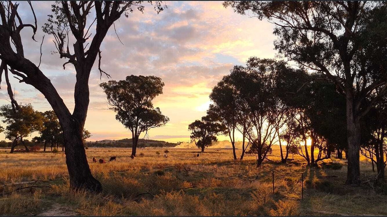 Photo of Outdoor in Stockinbingal
