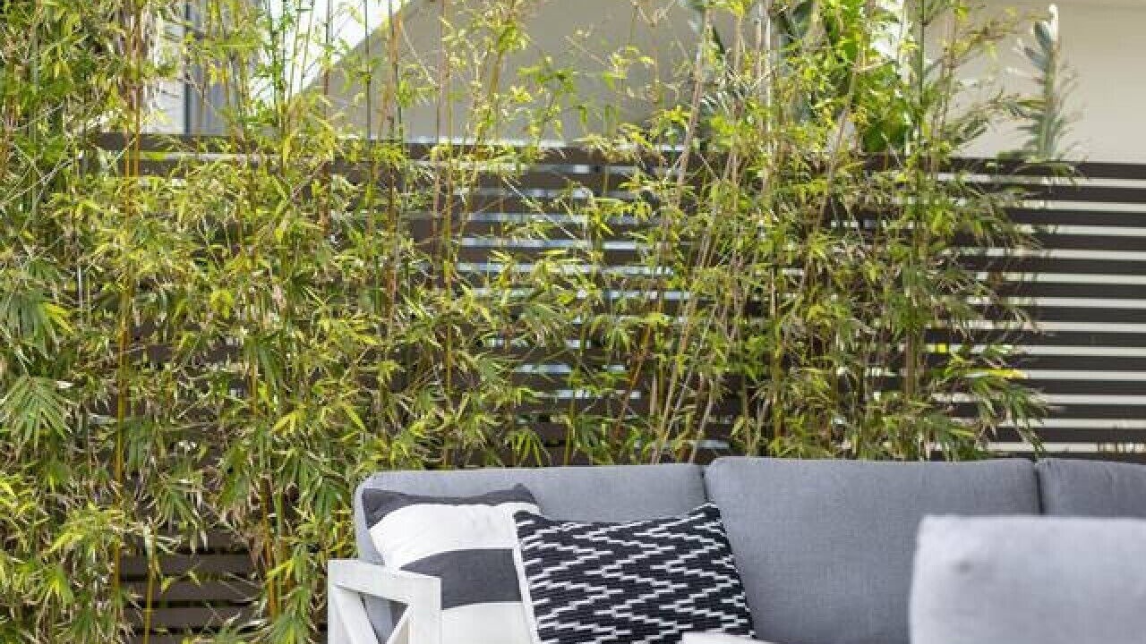 Photo of Patio Balcony in Magenta Shores