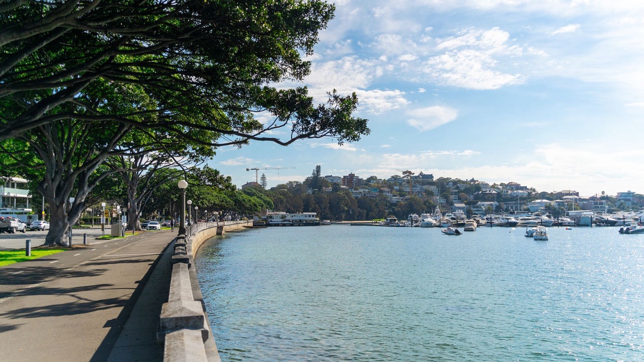 Photo of Others in Bellevue Hill